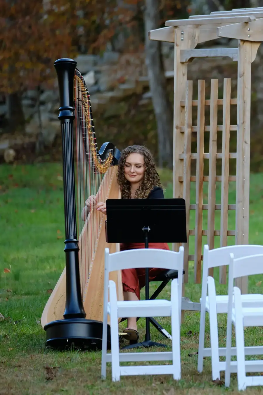 Intimate closeup of Korenna Hodge playing harp, seen through the strings
